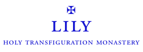 Lily